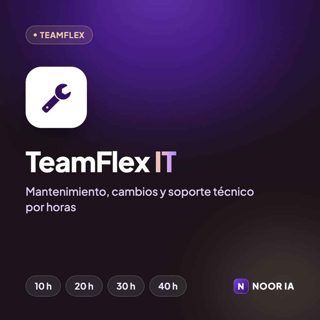 TeamFlex IT